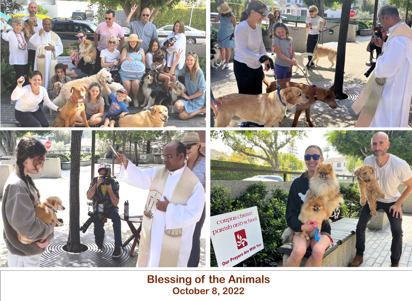 Blessing of the Animals 2022 Picture